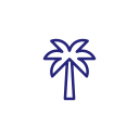 date-palm date palm